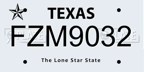 FZM9032 Texas License Plate