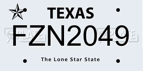 FZN2049 Texas License Plate