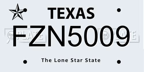 FZN5009 Texas License Plate
