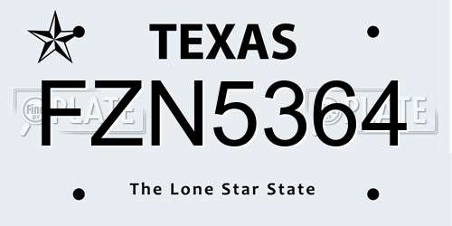 FZN5364 Texas License Plate