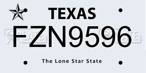 FZN9596 Texas License Plate