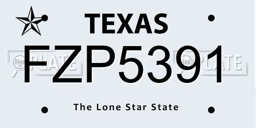 FZP5391 Texas License Plate