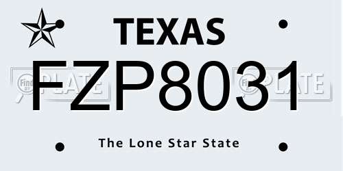 FZP8031 Texas License Plate