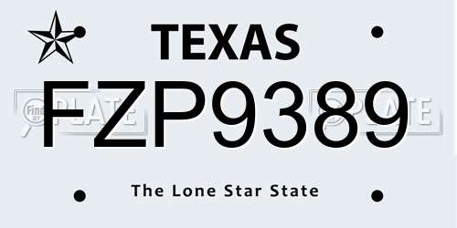 FZP9389 Texas License Plate