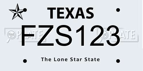 FZS123 Texas License Plate