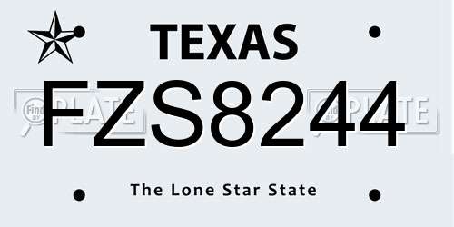 FZS8244 Texas License Plate