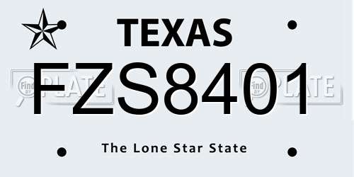 FZS8401 Texas License Plate