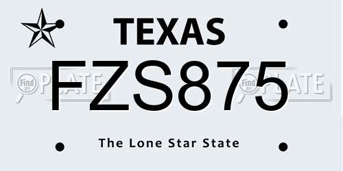 FZS875 Texas License Plate