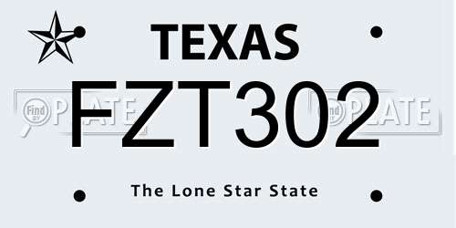 FZT302 Texas License Plate