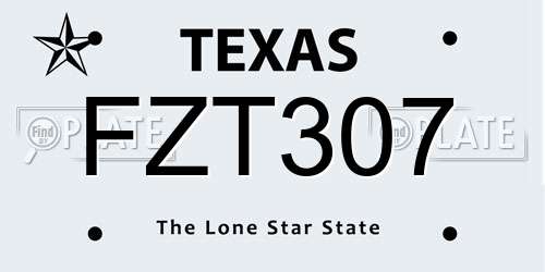 FZT307 Texas License Plate