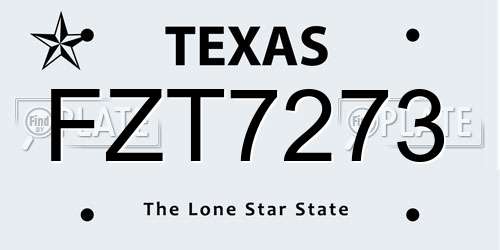 FZT7273 Texas License Plate