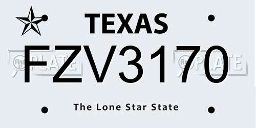 FZV3170 Texas License Plate