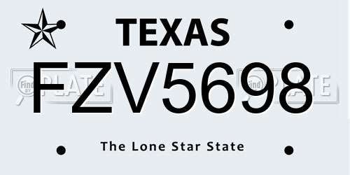 FZV5698 Texas License Plate