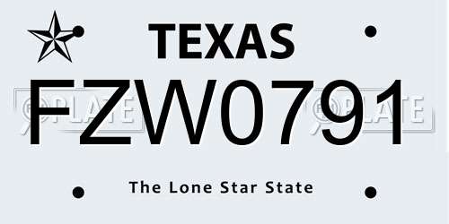 FZW0791 Texas License Plate
