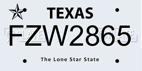 FZW2865 Texas License Plate