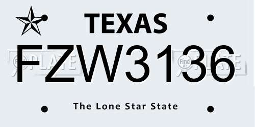 FZW3136 Texas License Plate