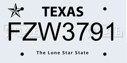 FZW3791 Texas License Plate