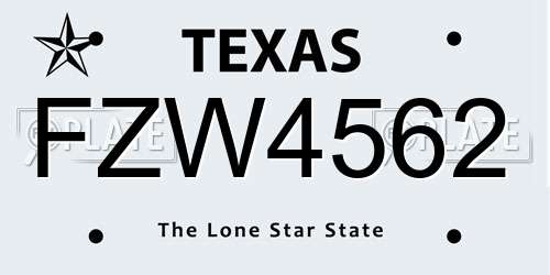 FZW4562 Texas License Plate