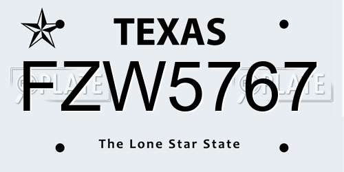 FZW5767 Texas License Plate