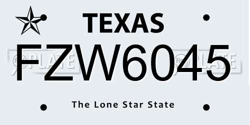 FZW6045 Texas License Plate