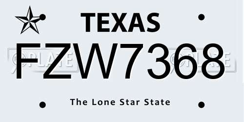 FZW7368 Texas License Plate