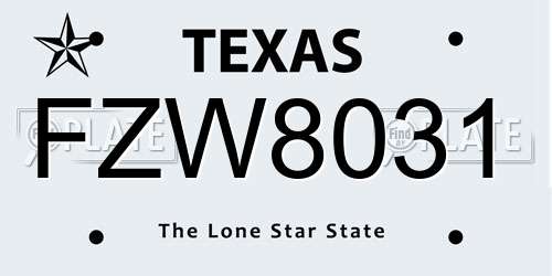 FZW8031 Texas License Plate