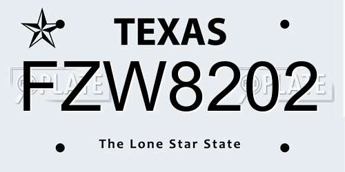 FZW8202 Texas License Plate