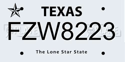 FZW8223 Texas License Plate