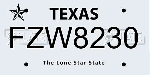 FZW8230 Texas License Plate