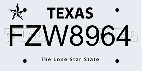 FZW8964 Texas License Plate