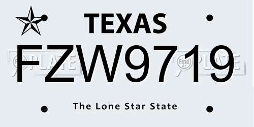 FZW9719 Texas License Plate