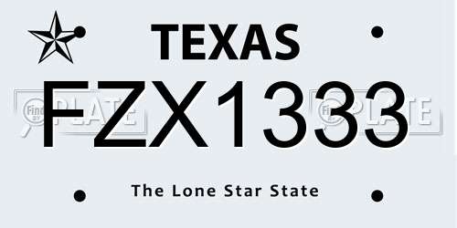 FZX1333 Texas License Plate
