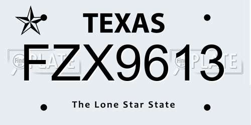 FZX9613 Texas License Plate