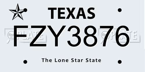 FZY3876 Texas License Plate