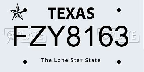 FZY8163 Texas License Plate