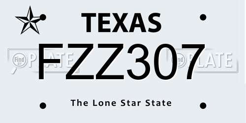 FZZ307 Texas License Plate