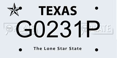 G0231P Texas License Plate