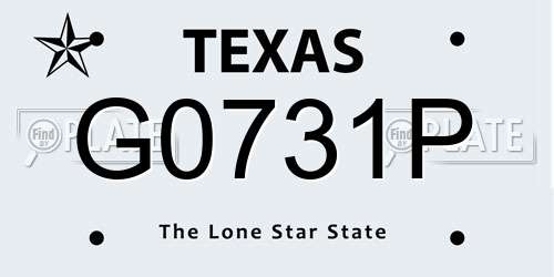 G0731P Texas License Plate