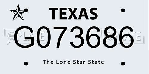 G073686 Texas License Plate