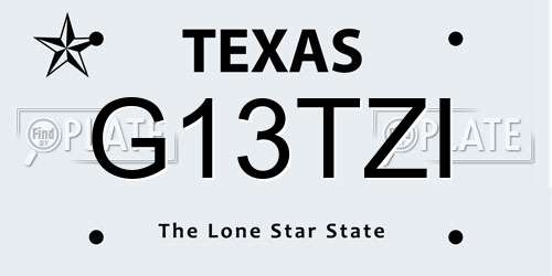 G13TZI Texas License Plate