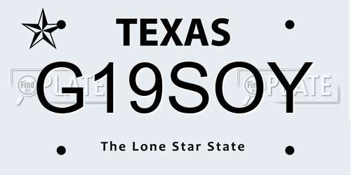 G19SOY Texas License Plate
