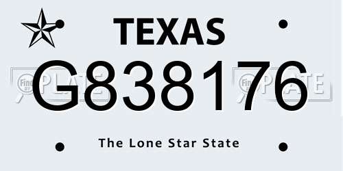 G838176 Texas License Plate