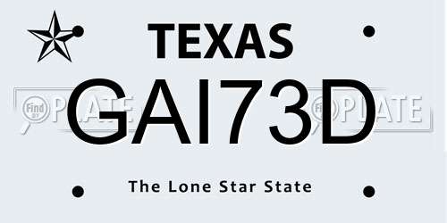GAI73D Texas License Plate