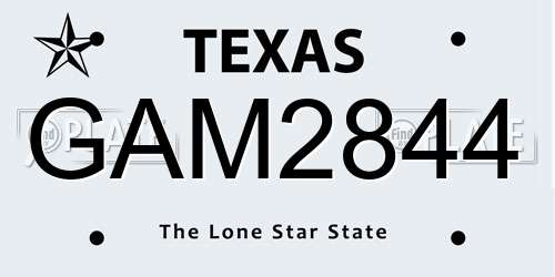 GAM2844 Texas License Plate