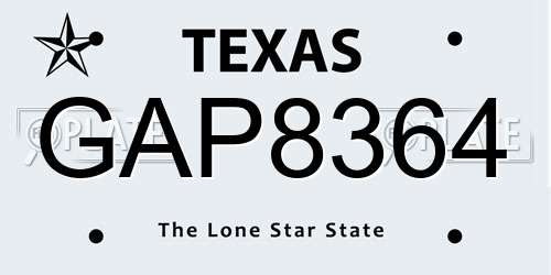 GAP8364 Texas License Plate