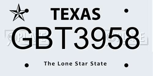 GBT3958 Texas License Plate