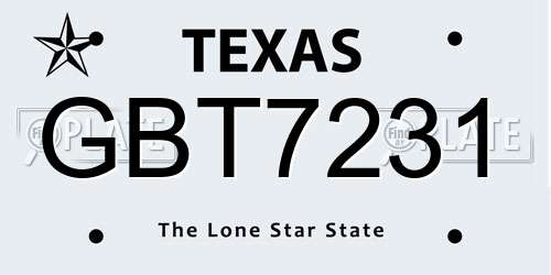 GBT7231 Texas License Plate