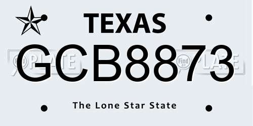 GCB8873 Texas License Plate