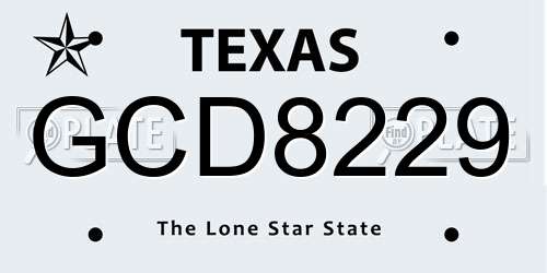 GCD8229 Texas License Plate