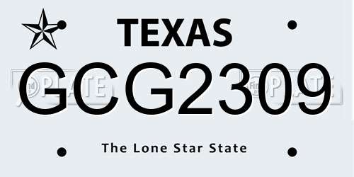 GCG2309 Texas License Plate